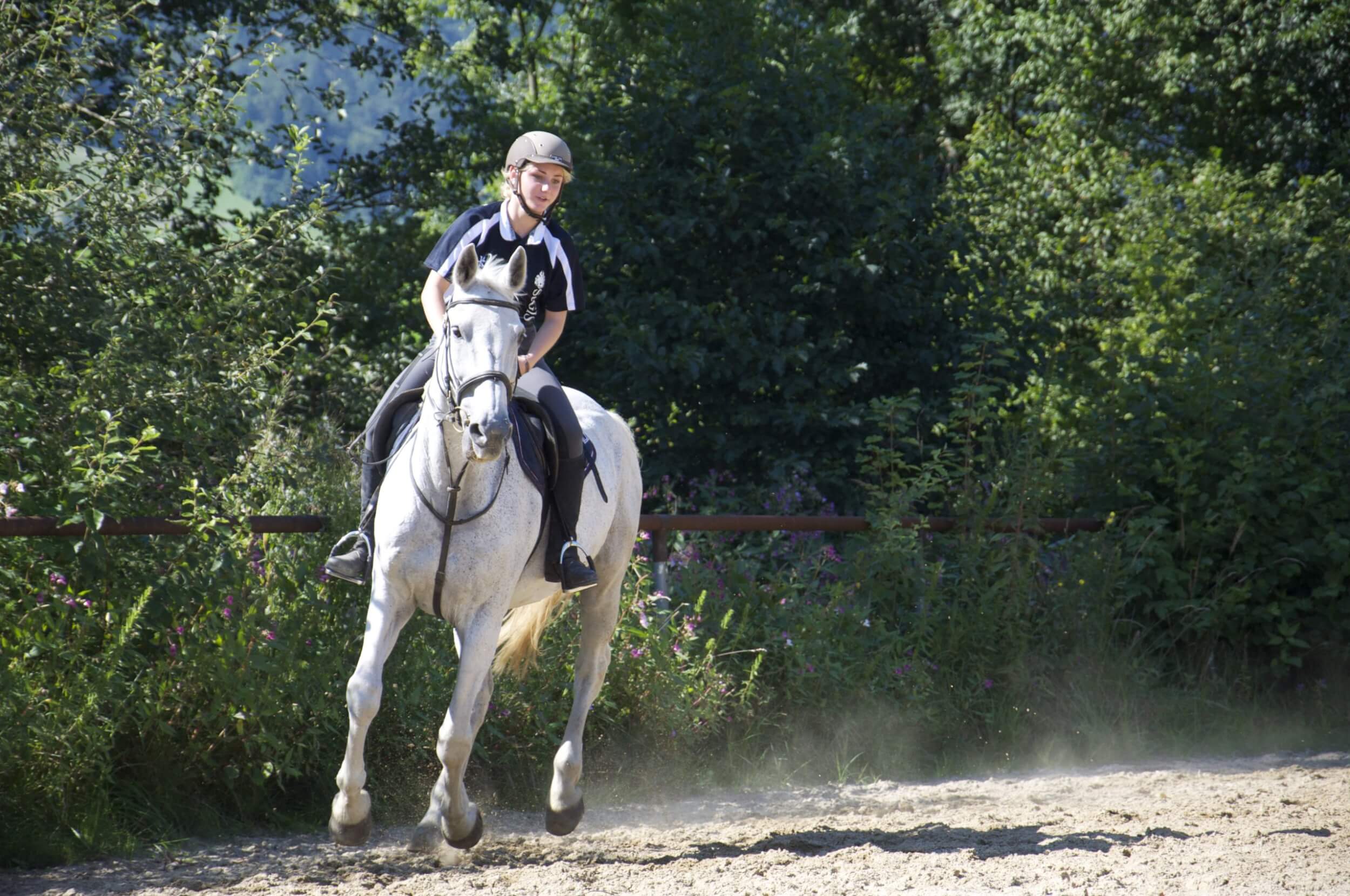 Students participating in a horse riding activity at St. Gilgen International Day and Boarding School