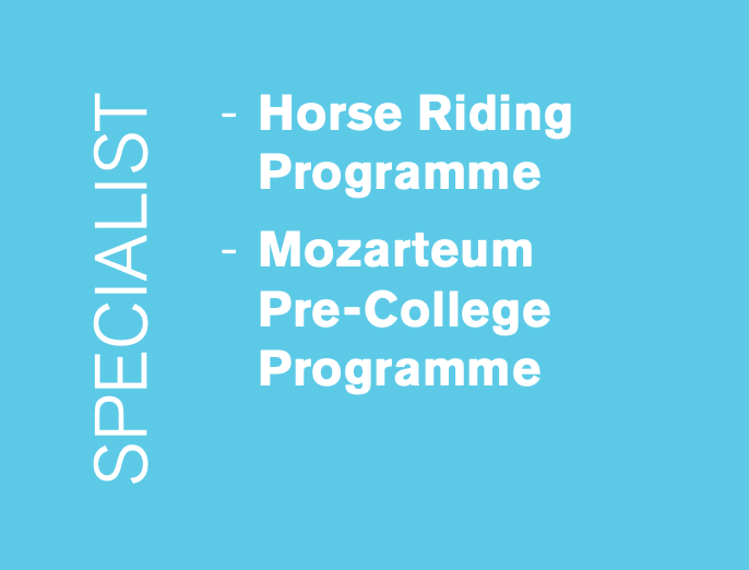 StGIS_Spezialist-Programme
