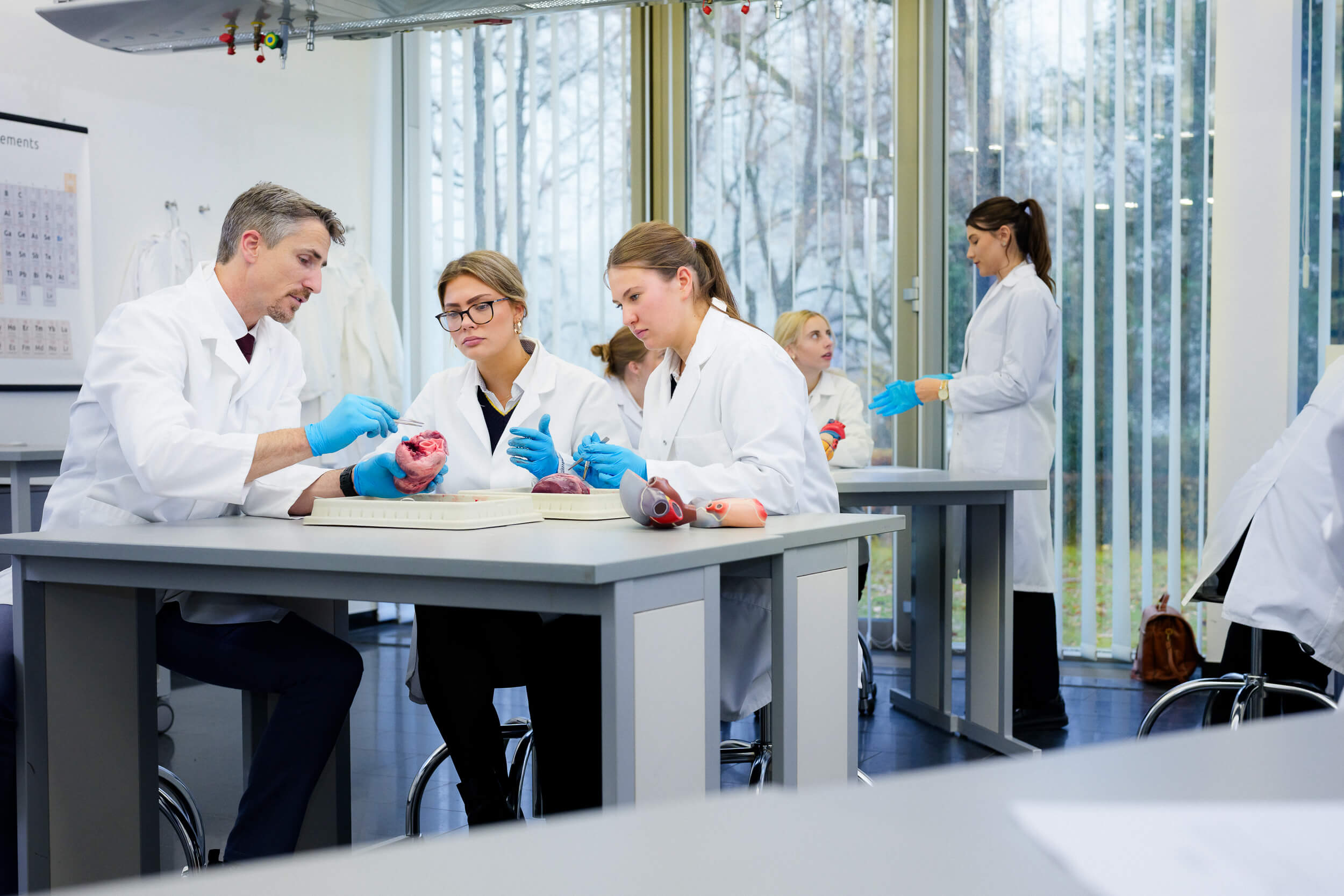 IB DP students in biology class at St. Gilgen International Boarding School